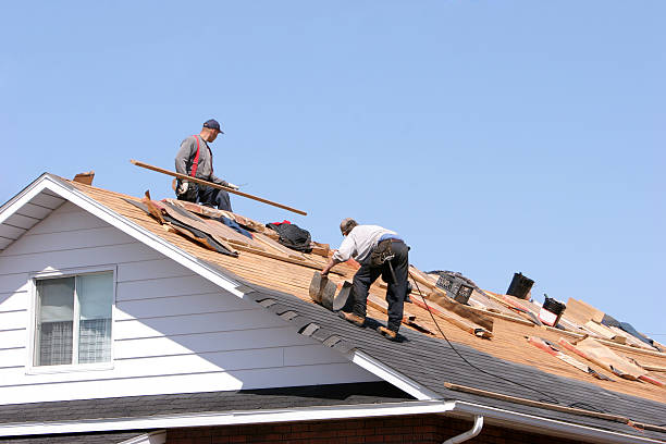 Best Roof Insulation Installation  in Mannington, WV